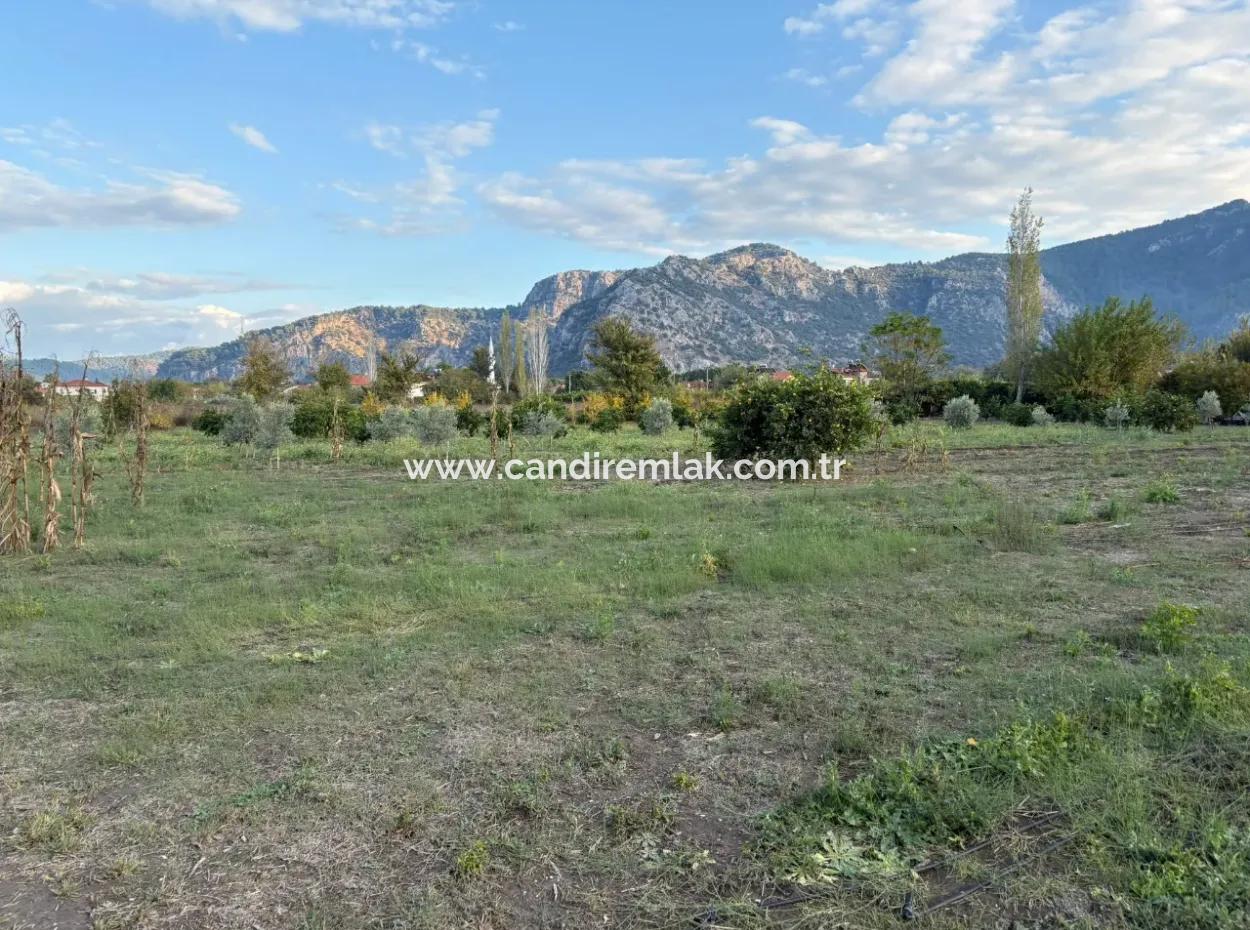 7.450M2 Land Zum Verkauf In Der Nähe Des Zentrums Von Dalyan