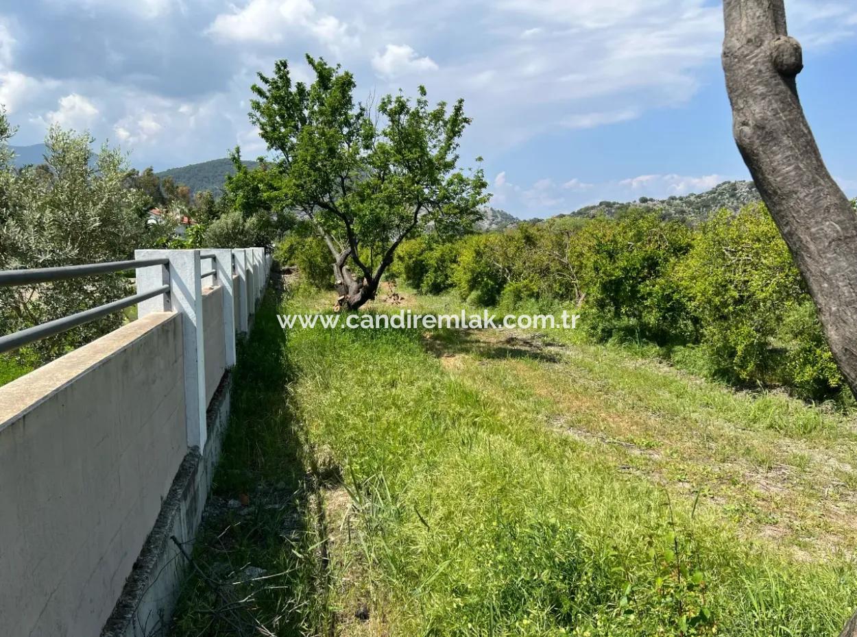 5.100 M2 Land Zum Verkauf In Der Gegend Von Dalyan Maraş Mit 5% Wohnzone