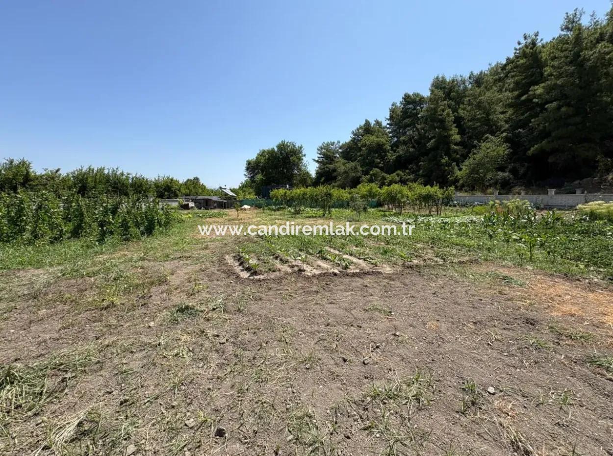 120M2 Freistehendes Holzhaus Auf Einem 2500M2 Großen Feld In Dalyan Karadağ