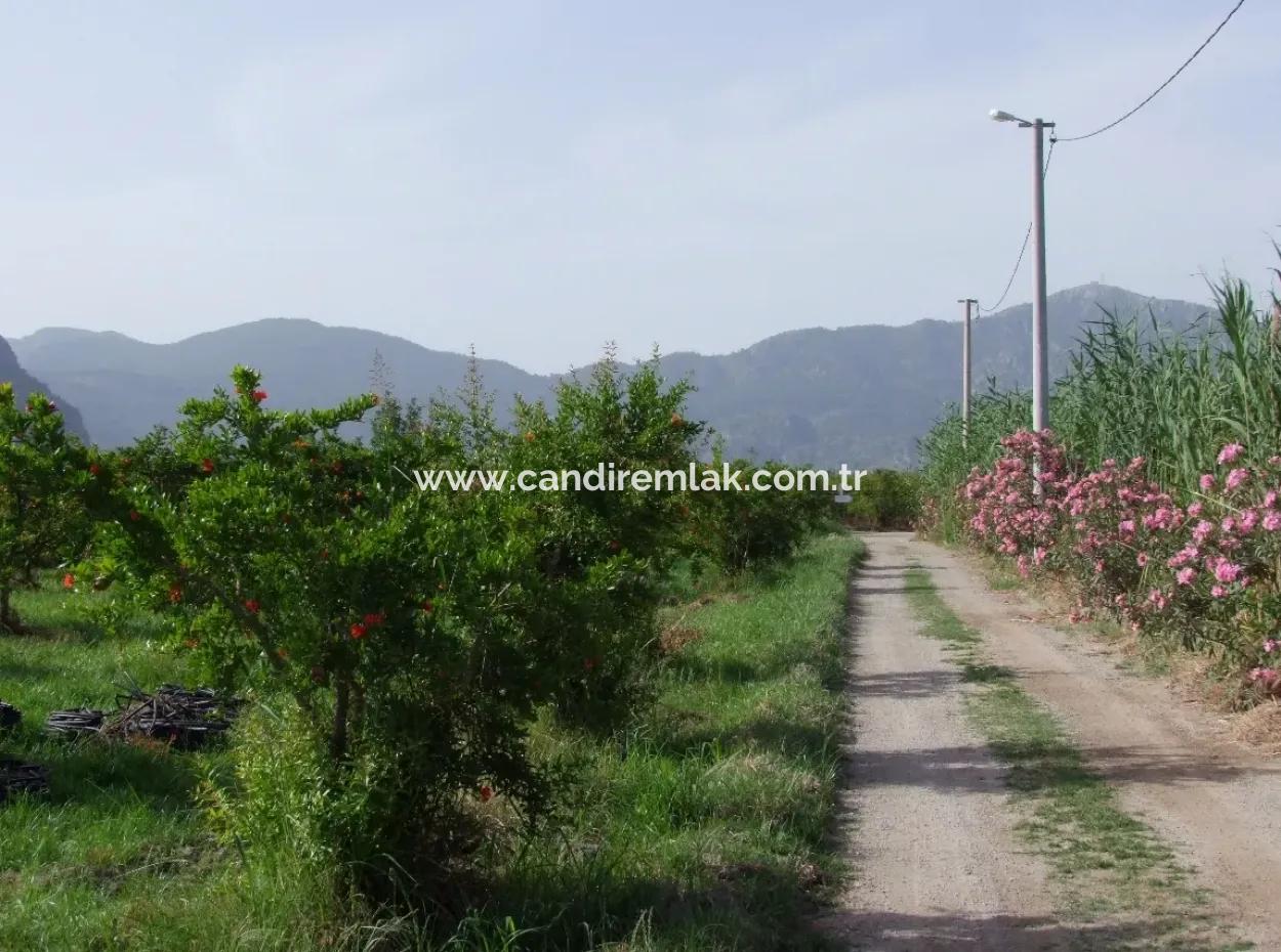 Merkez Dalyan Iztuzu See-Garten-Villa Zum Verkauf