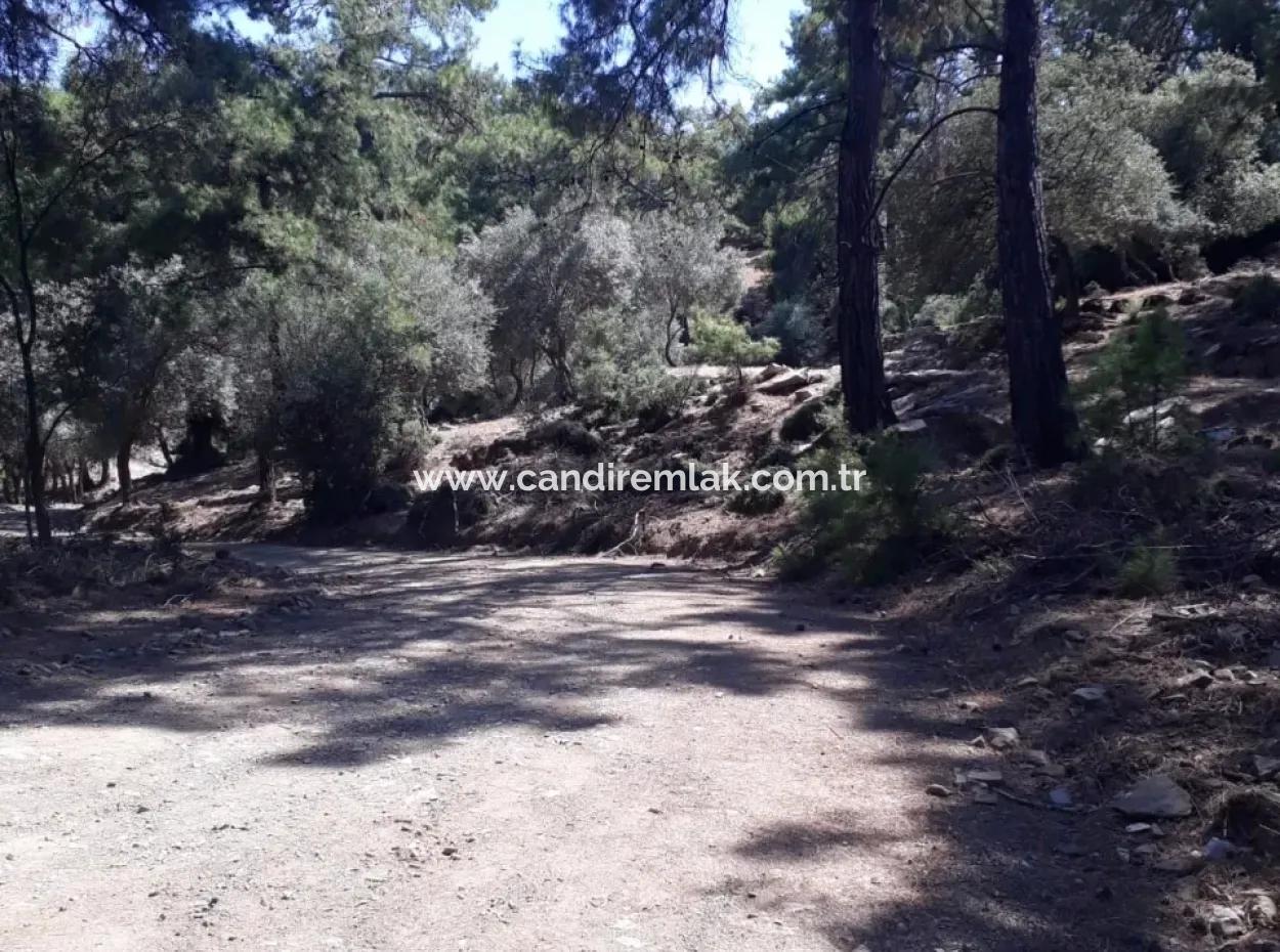 Dalyan Iztuzu In Der Dalyan Zum Verkauf Zum Verkauf In Der Candır 2367M2 2B