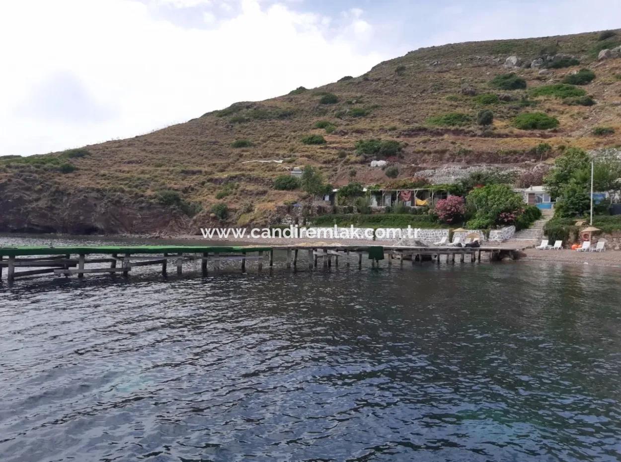 Benutzerdefinierte Dorf Am Meer Zu Verkaufen Villa Zum Verkauf In Osmanabad