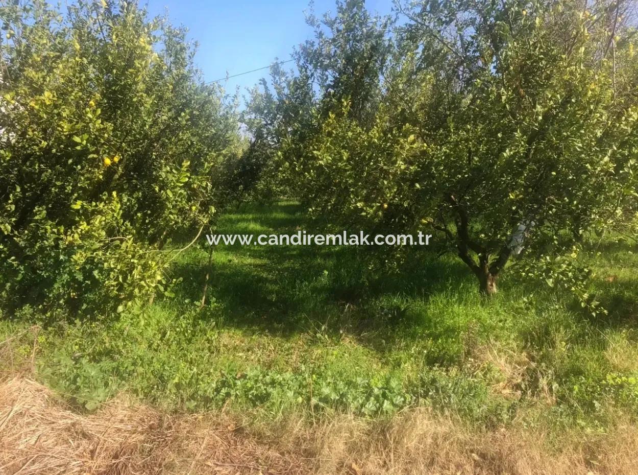 Raiders 803M2 Land Zum Verkauf In Plot Zum Verkauf