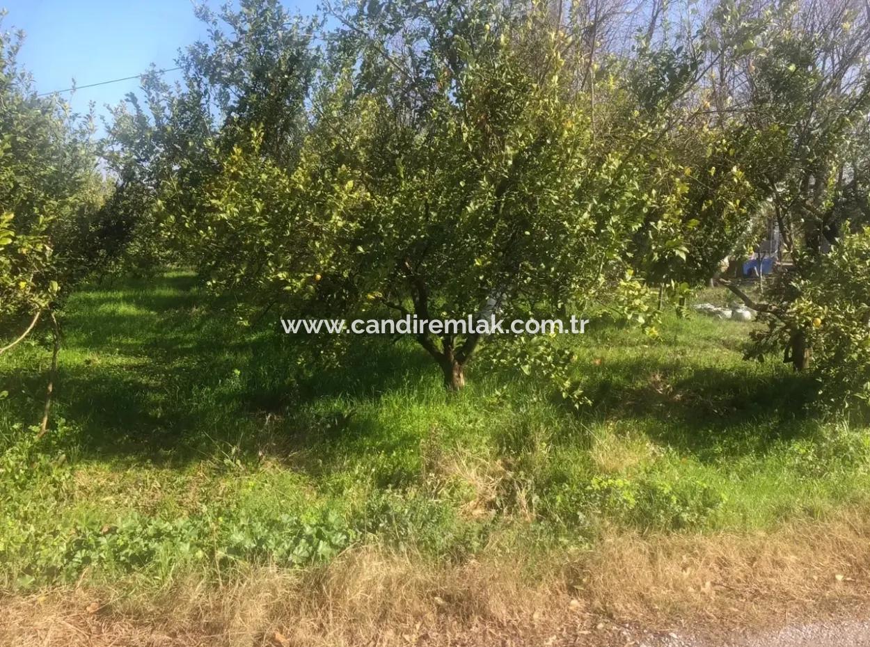 Raiders 803M2 Land Zum Verkauf In Plot Zum Verkauf