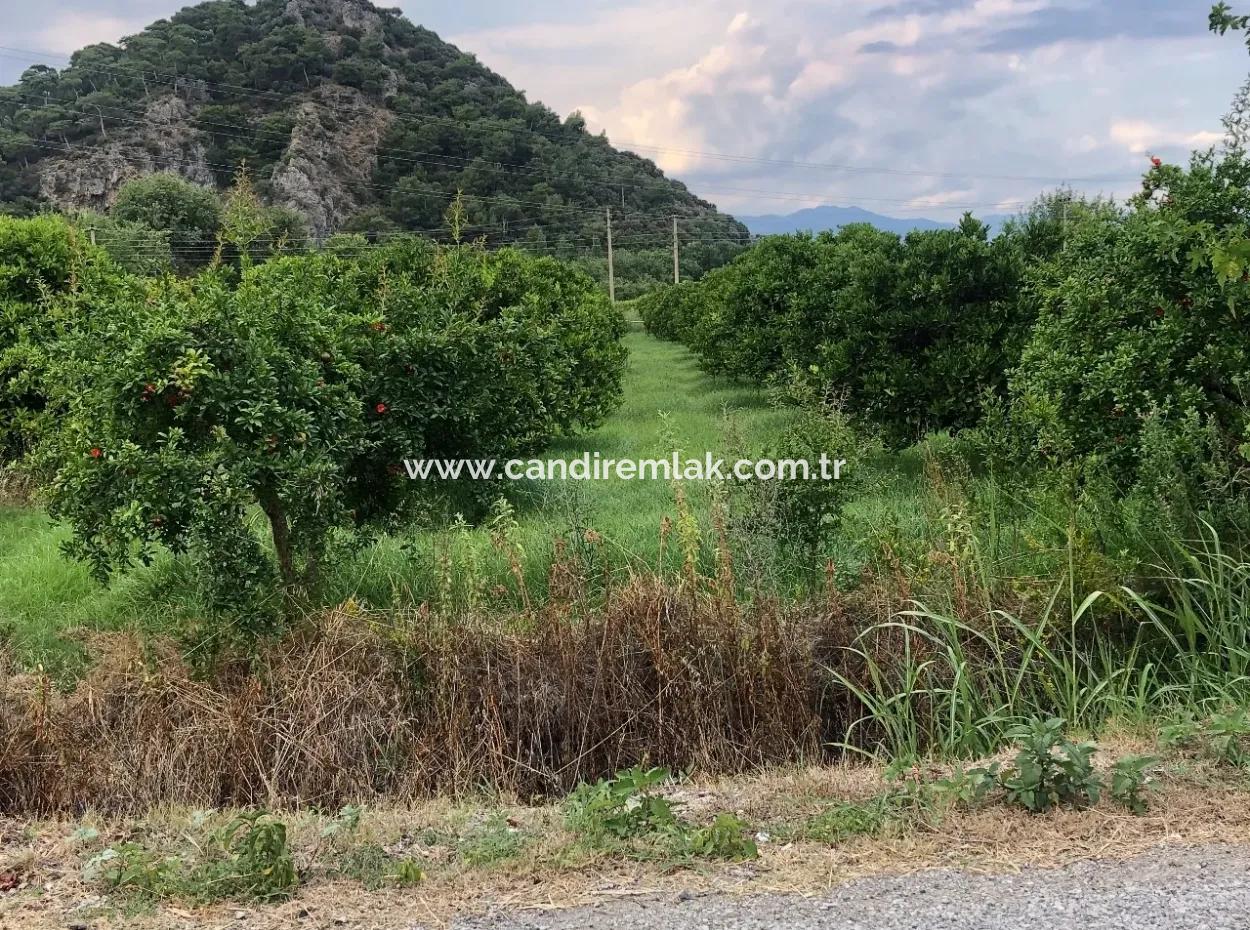722M2 Grundstück Zum Verkauf In Dalyan Gülpınar Zum Verkauf