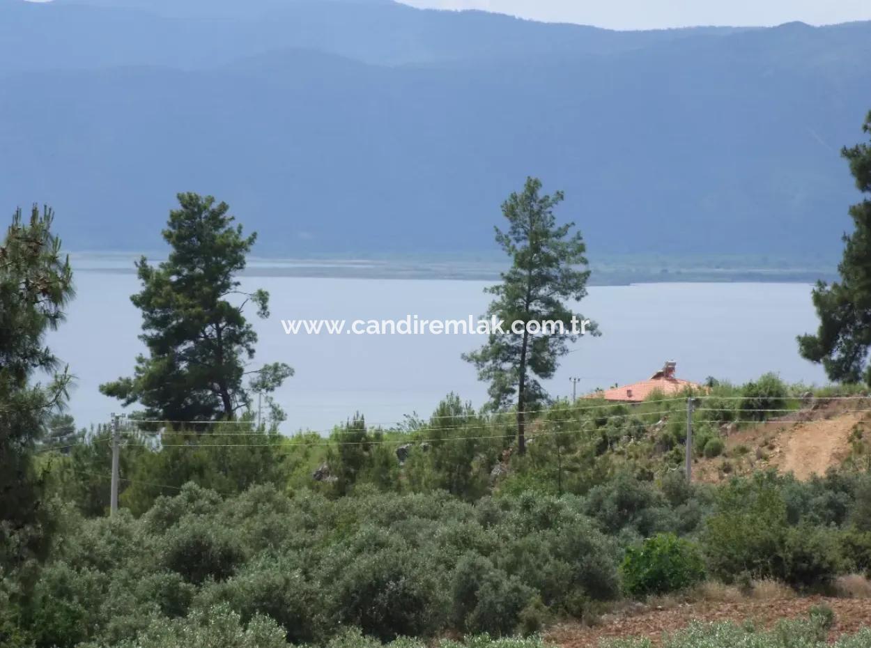Luxus-Villa Zu Verkaufen In Zeytinalanda Köyce'inz Zeyt'nalanda 6800M2 Land Villa Zum Verkauf Mit Voller Seeblick
