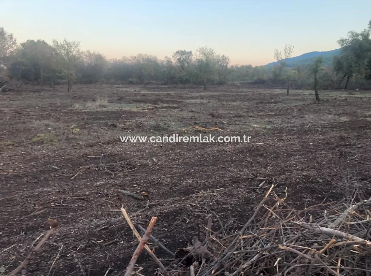 Sultaniye Land For Sale Near 10577M2 Lake Land For Sale