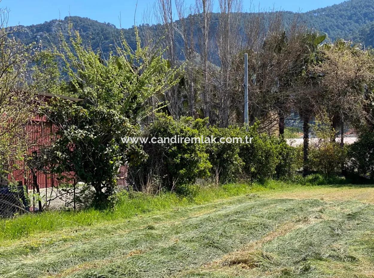 3700M2 Grundstück Zu Verkaufen In Dalyan