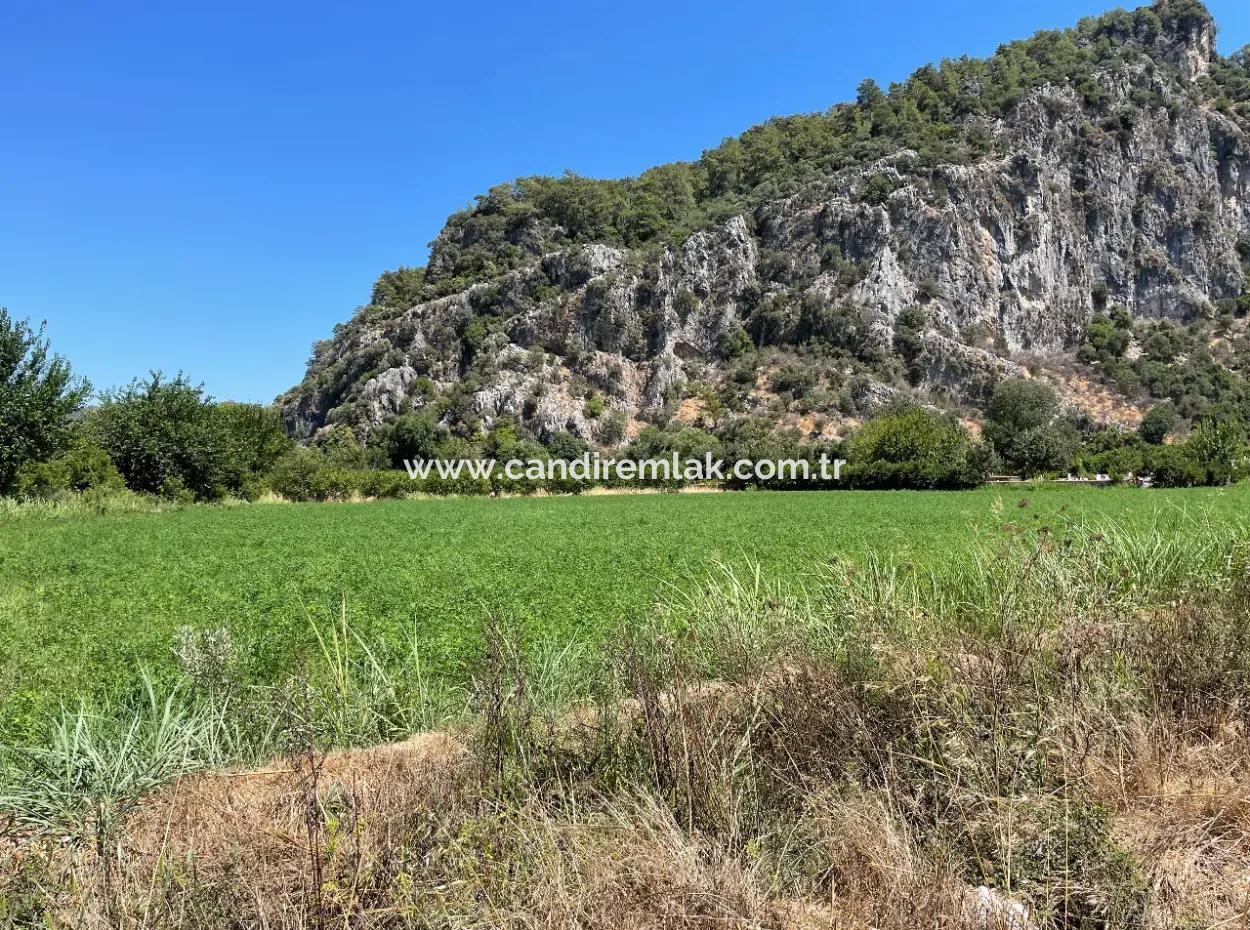 Okçular Land Zum Verkauf In Marmarlı 6500M2