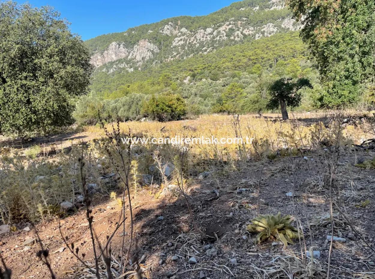 2620M2 Grundstück Zum Verkauf Mit Meerblick Von Çandir