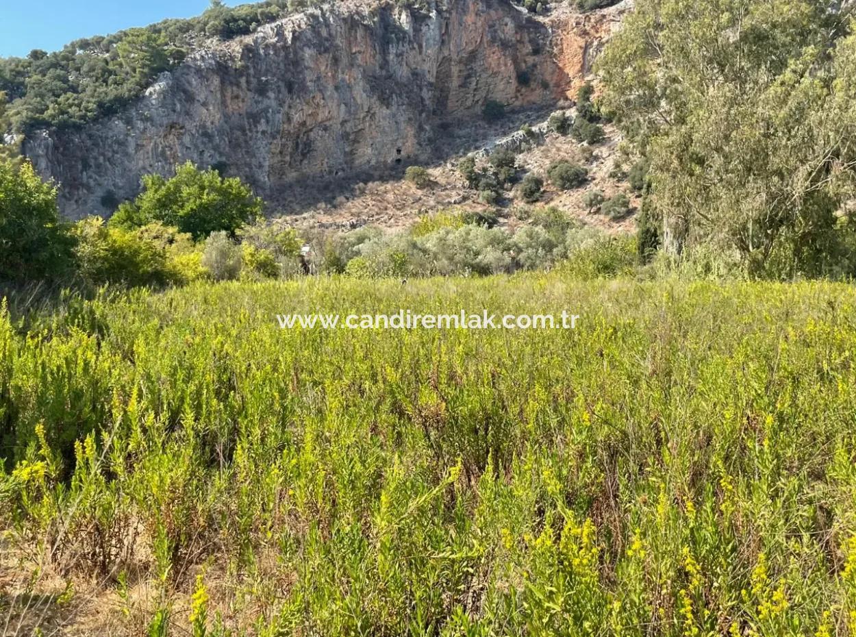 Çandır Kanal Front 2765M2 Einfamilienhaus Zu Verkaufen