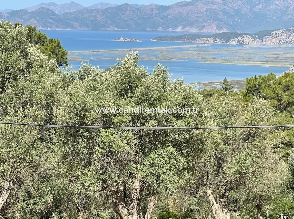 Grundstück Zum Verkauf Mit Meerblick In Gokbel