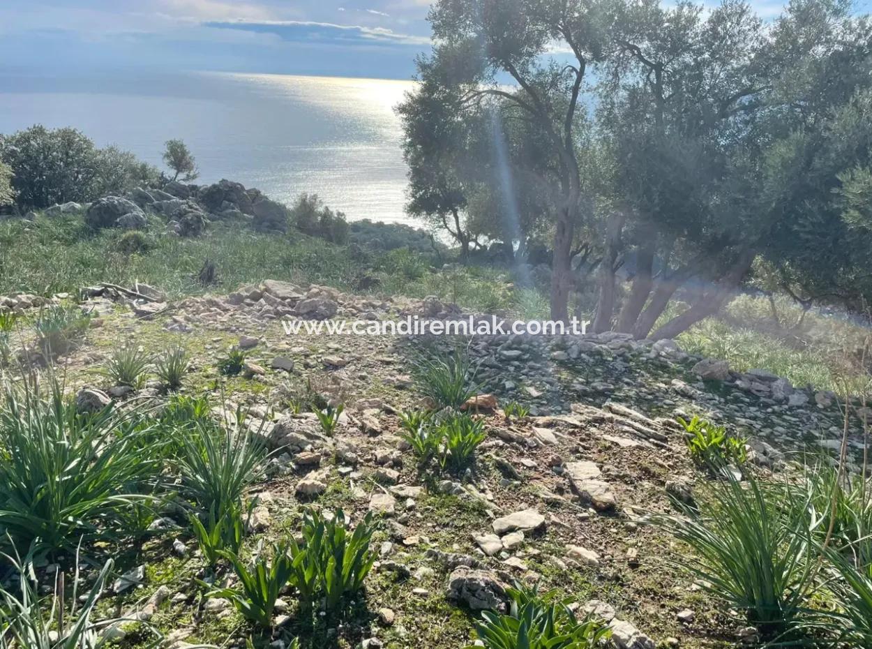 8.900M2 Feld Zum Verkauf Mit Vollem Meerblick In Ekincik