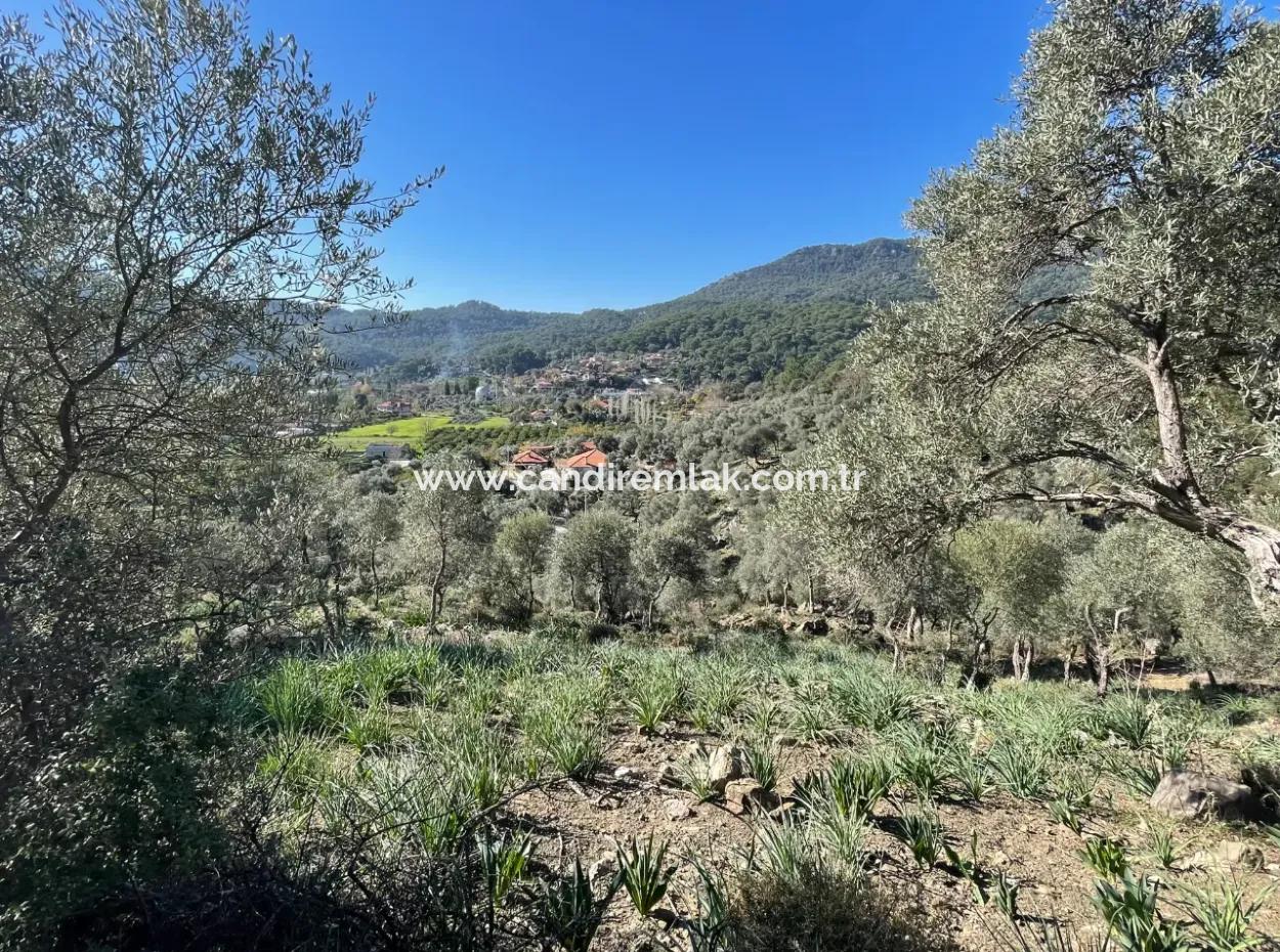 950M2 2B Feld Zum Verkauf Mit Meer- Und Seeblick In Çandır