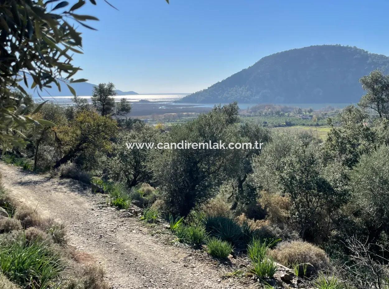 950M2 2B Feld Zum Verkauf Mit Meer- Und Seeblick In Çandır