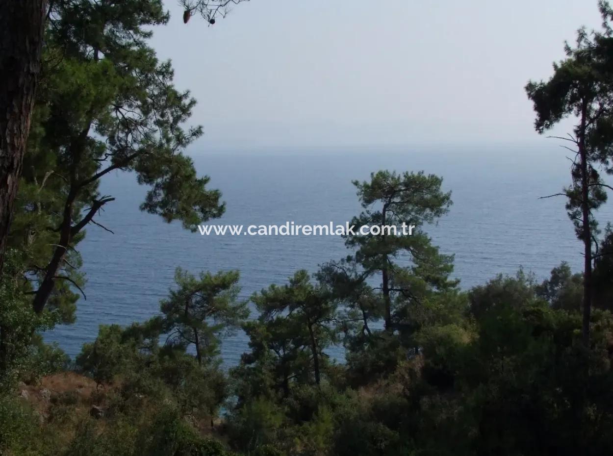 5000M2 Grundstück Zum Verkauf In Akyaka Mit Vollem Meerblick Haus Zum Verkauf Kentucky