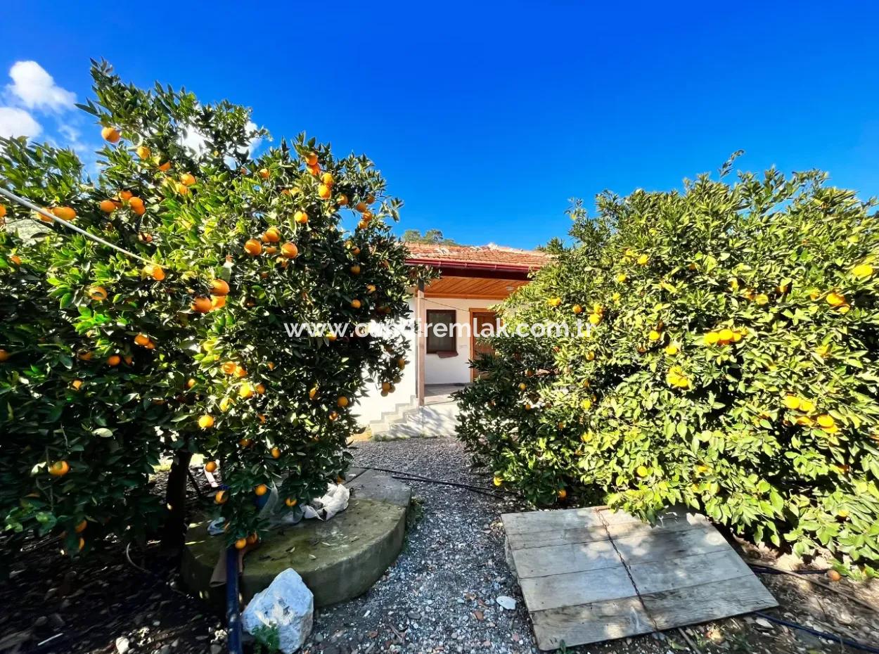 Einstöckiges Haus Zum Verkauf In 5000M2 Grundstück In Çandır