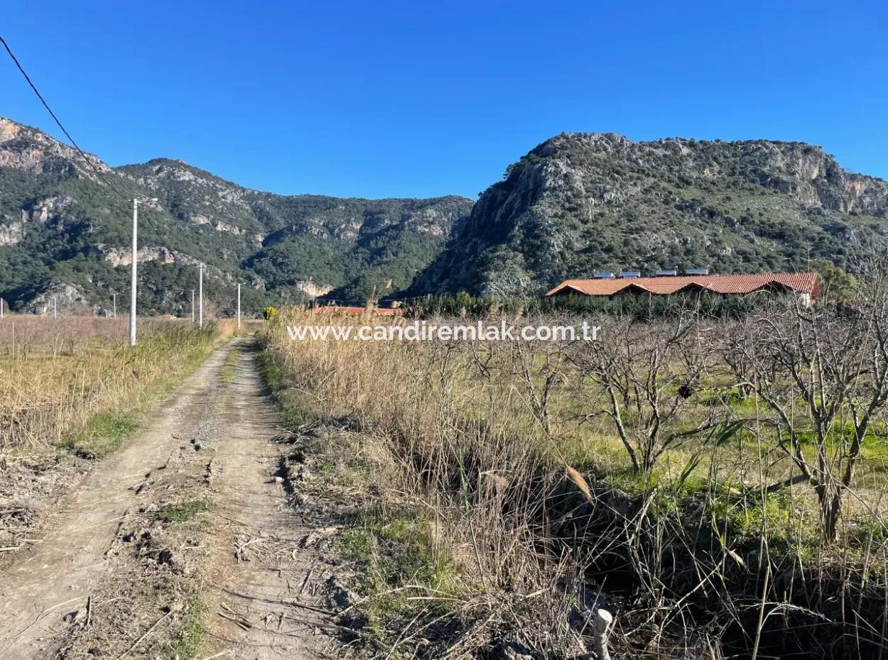 Dalyan Iztuzu Road Zero 5216M2 Feldgrundstück Zum Verkauf