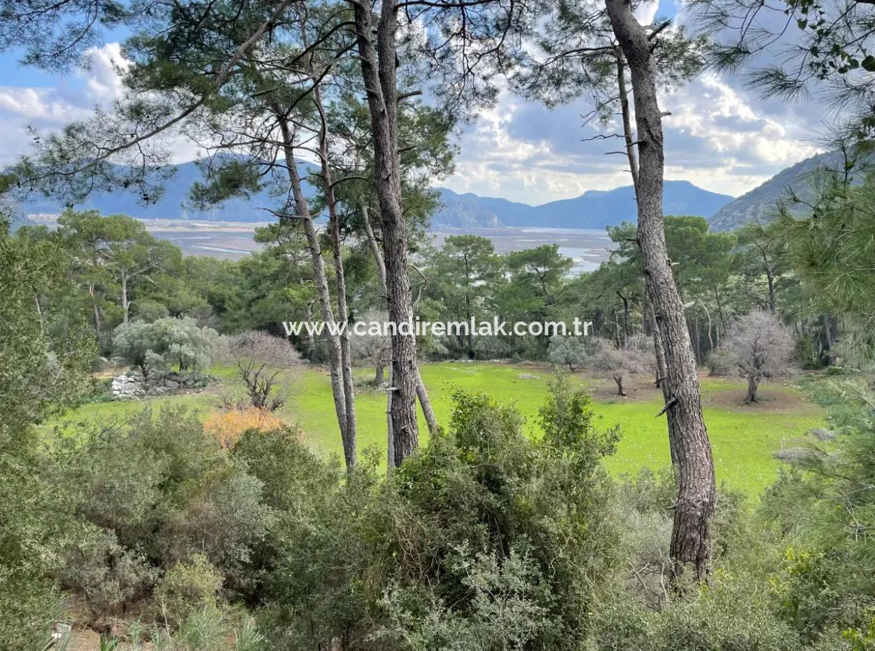 10.707M2 2B Feld Zu Verkaufen Mit Meerblick See In Çandır