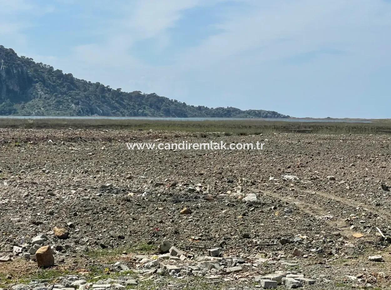 Dalyan Iztuzu Strand Straße Null 19.600M2 Feld Land Zum Verkauf