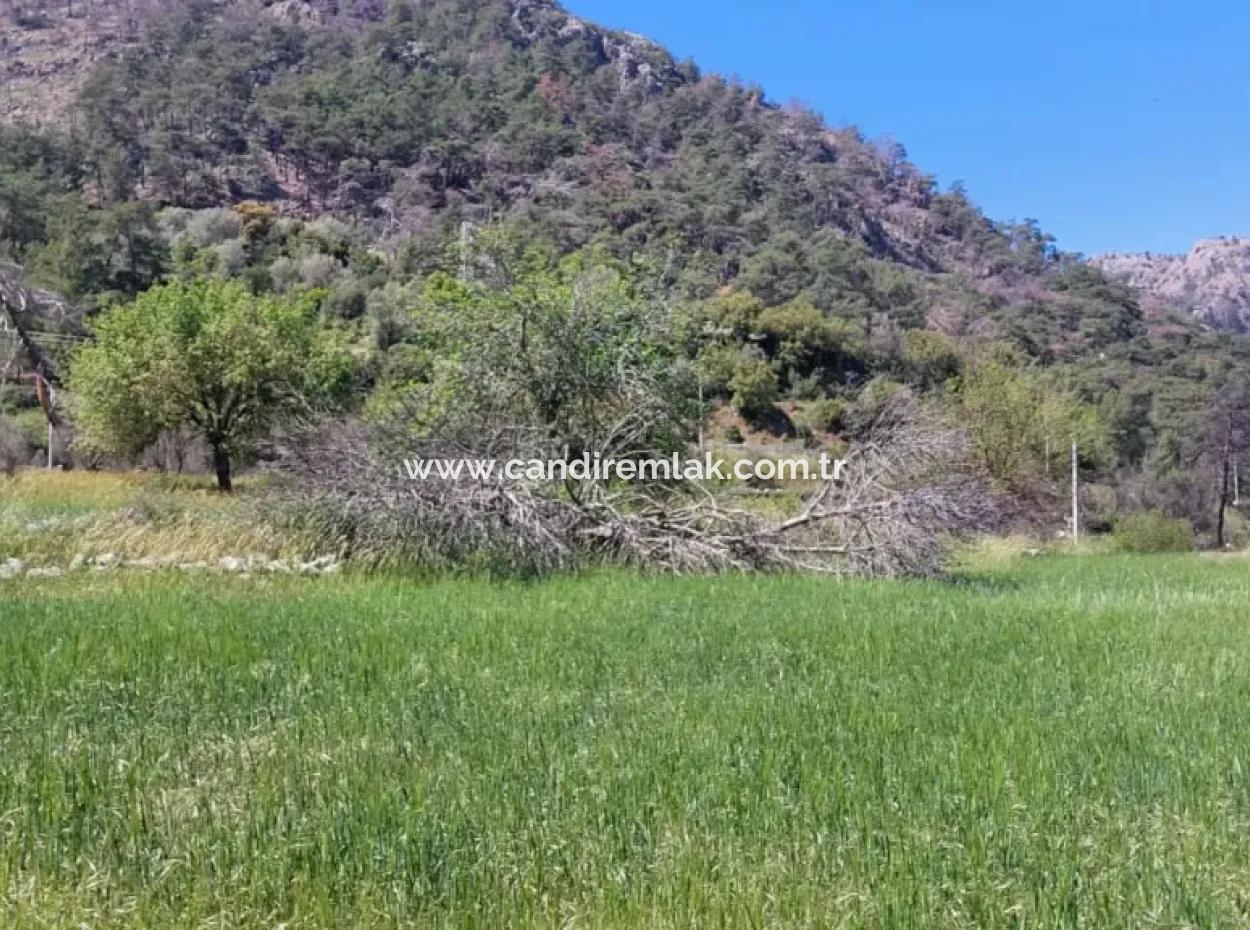 Marmaris Turgut Anlagegrundstück Zum Verkauf 29600M2 Zum Verkauf