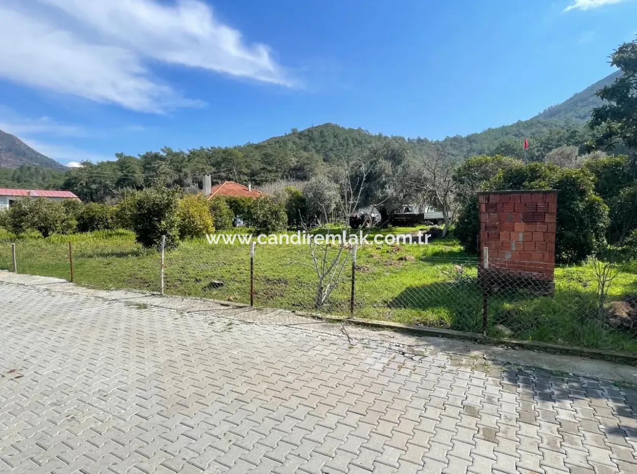 Sultaniye Büyükkaraç Mahallesin Gebraucht Kaufen Feld