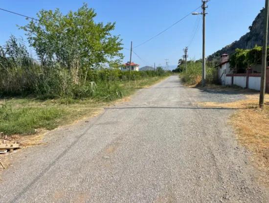 10.000 M2 Granatapfelgarten Zum Verkauf In Dalyan Arıkbaşı Und Gerendüzün