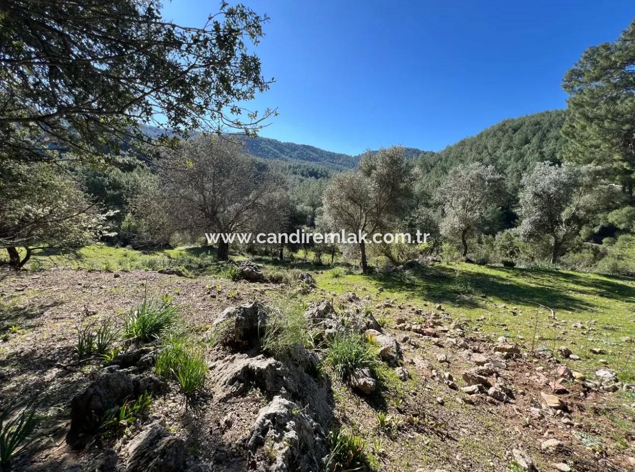 Land For Sale In Nature And Forest In Gökbel
