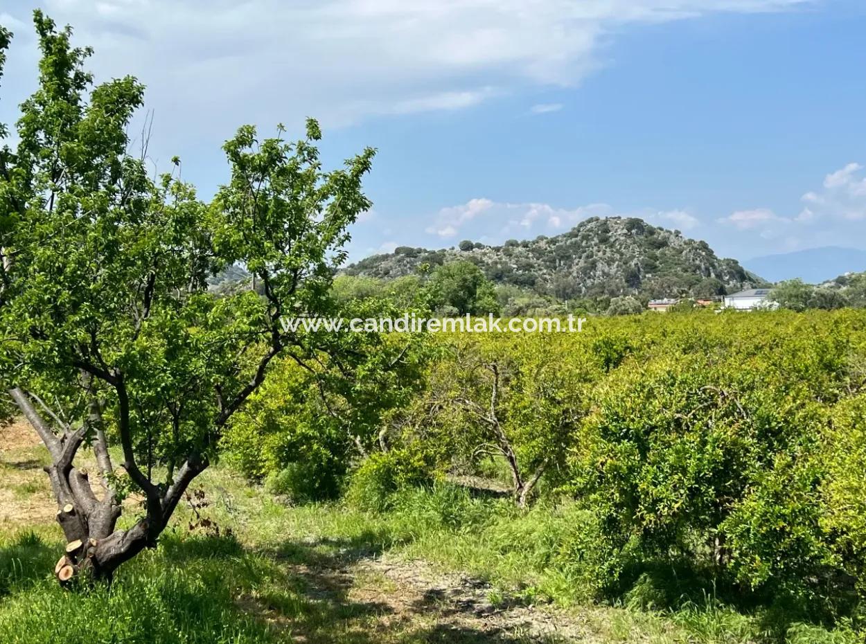 5,100M2 Land For Sale In Dalyan Maraş Area With 5% Residential Zoning
