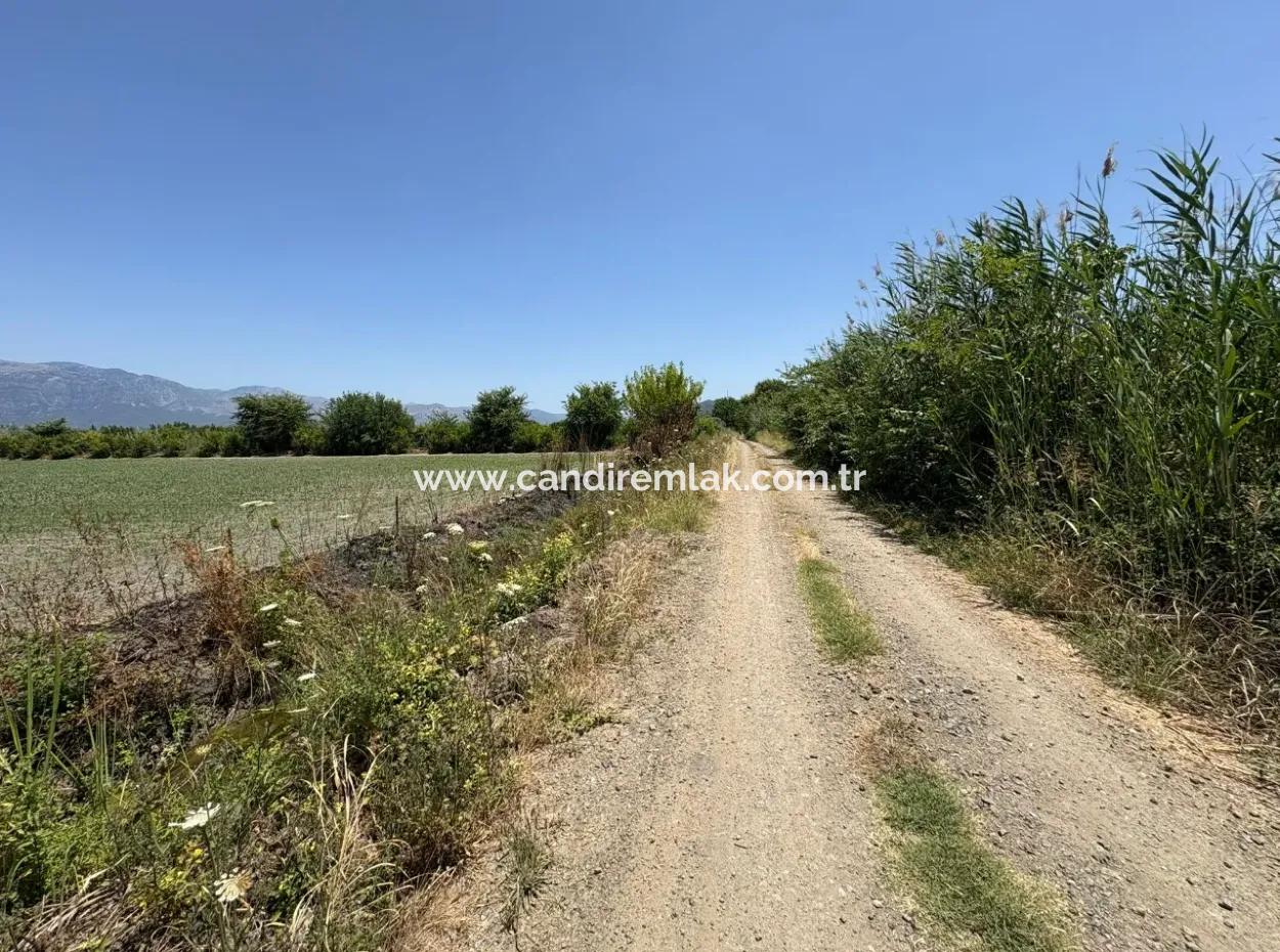 46,550M2 Land For Sale In Tepearası