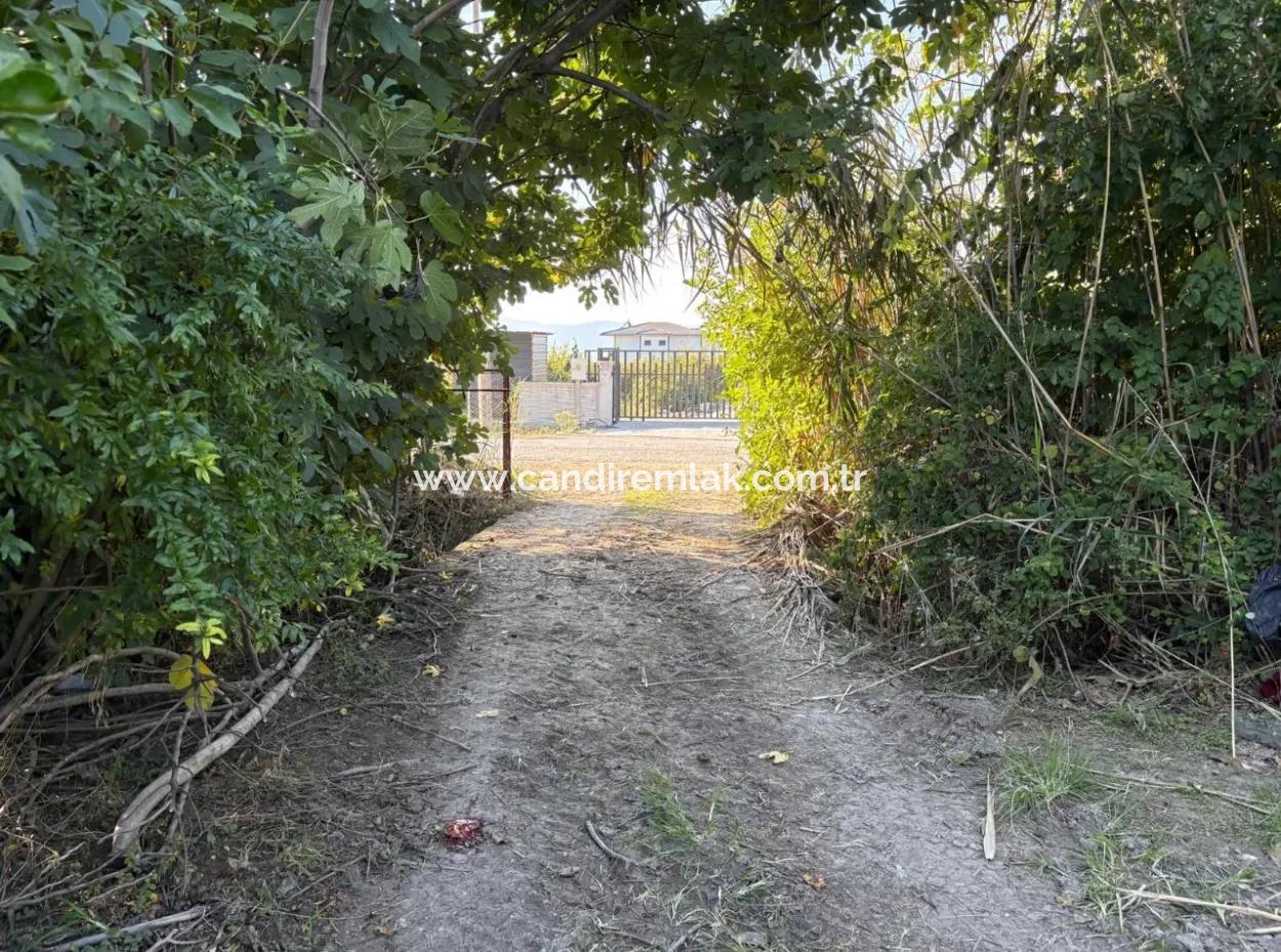 6150M2 Lemon And Pomegranate Garden For Sale In Eskiköy