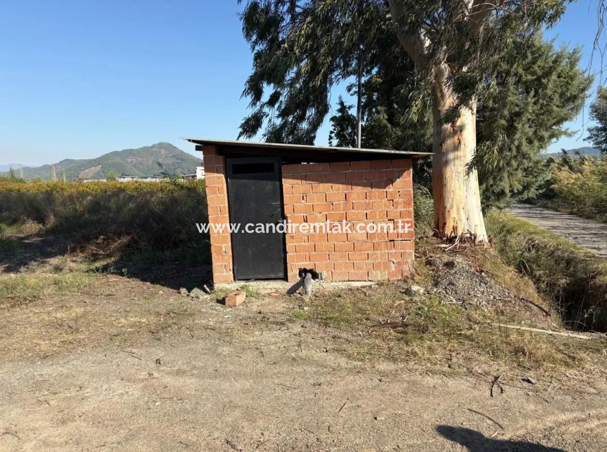 21500M2 Pomegranate Orchard For Sale In Eskiköy