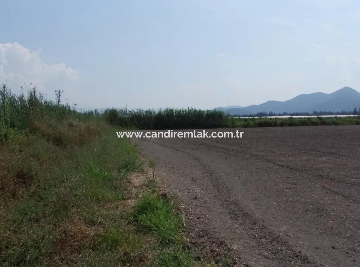 Farm For Sale In Dalyan Eskikoy Eskikoy Oriya 14,900M2 Plot For Sale Field