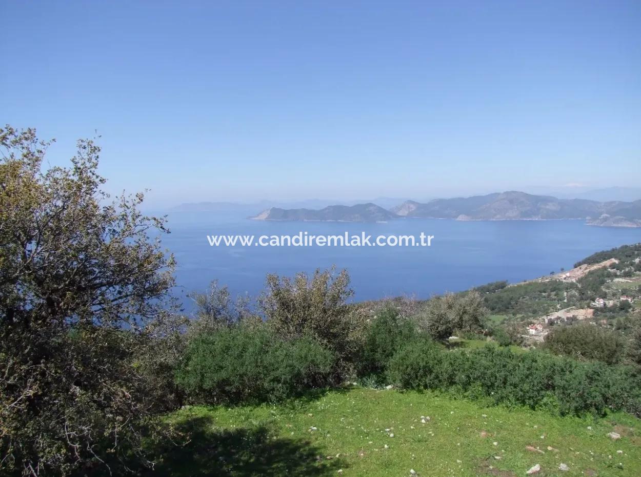 For Sale In Faralya Faralya With Sea View And 11,286M2 Land For Sale Tourism