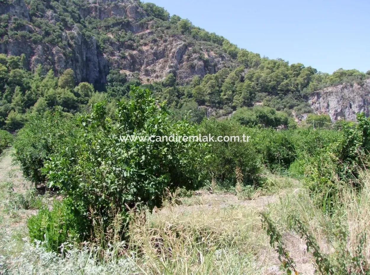 In Dalyan Plot For Sale In Channel Zero