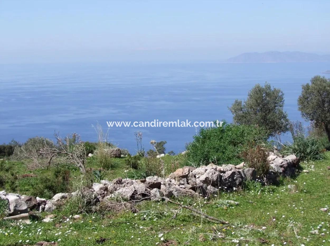 Land For Sale In Faralya With Full Sea View For Sale