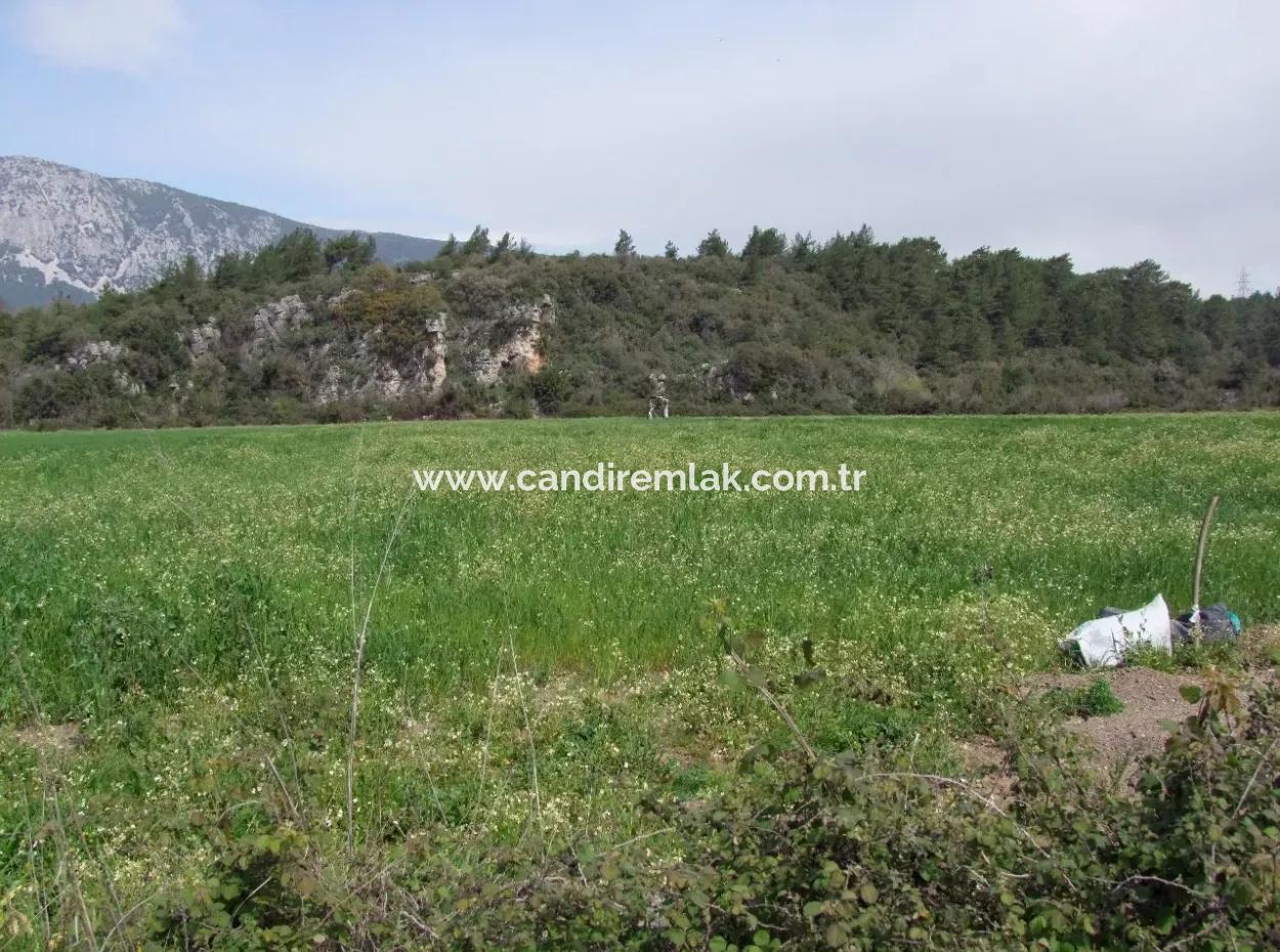 In Akyaka For Sale: Land For Sale Farm For Sale A Farm Near The Sea Of Ars, Yatirimlik 21625M2