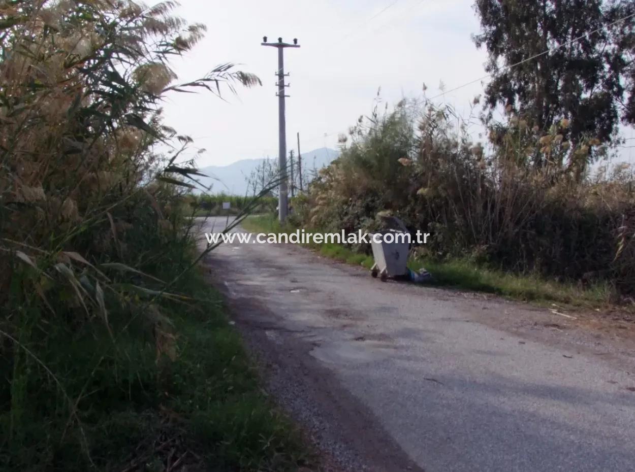 For Sale Land In Dalyan For Sale Dalyan Channel Zero
