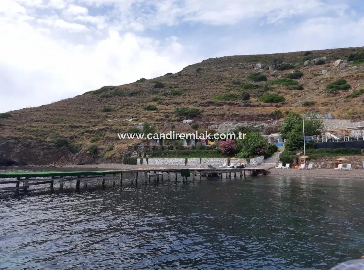Custom Village By The Sea For Sale Villa For Sale In Osmanabad