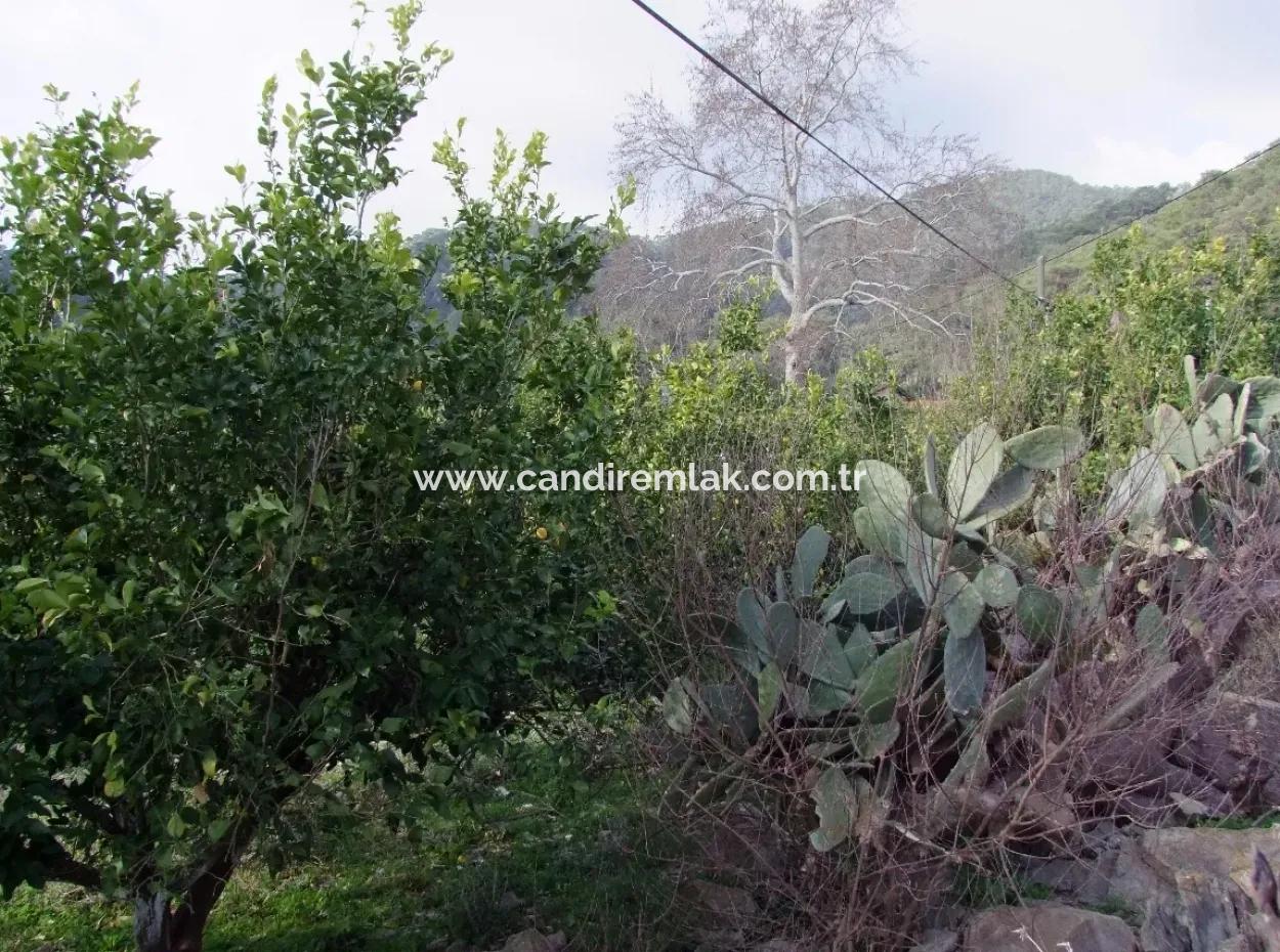 For Sale In Koycegiz, Dalyan Plot For Sale 10629M2