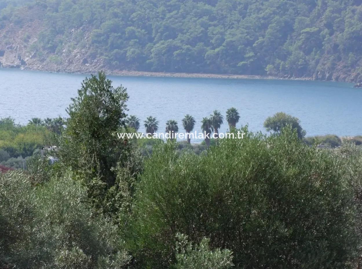 For Sale In Ekincik 5,391M2 Plot For Sale