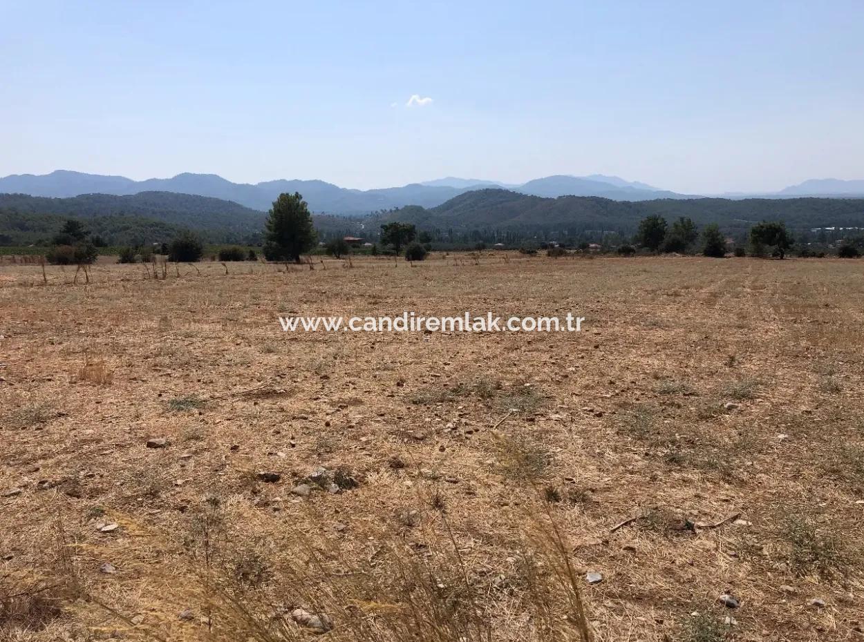 11.227M2 Land For Sale With Lake Views In Köyceğiz Zeytinalanı