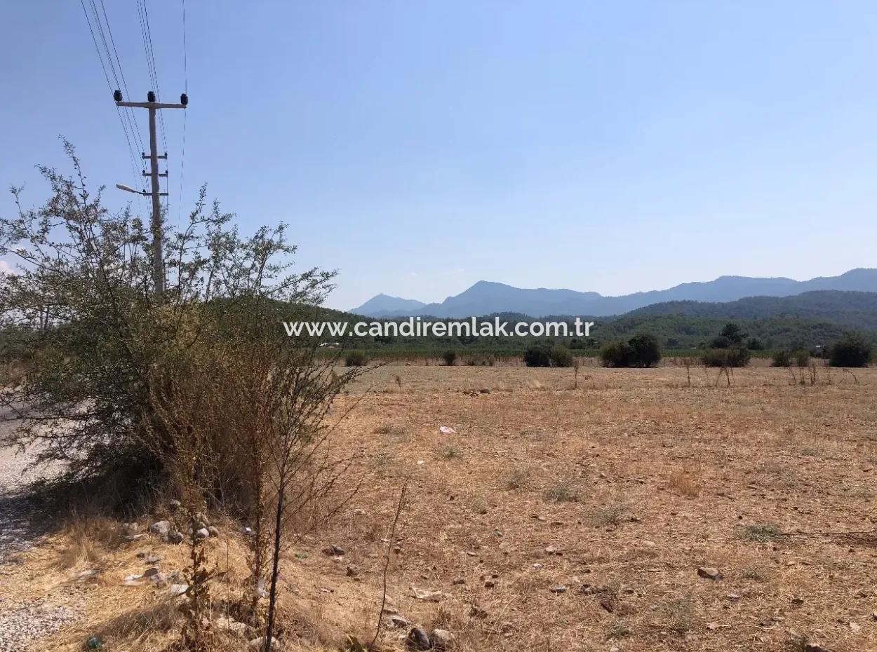 11.227M2 Land For Sale With Lake Views In Köyceğiz Zeytinalanı