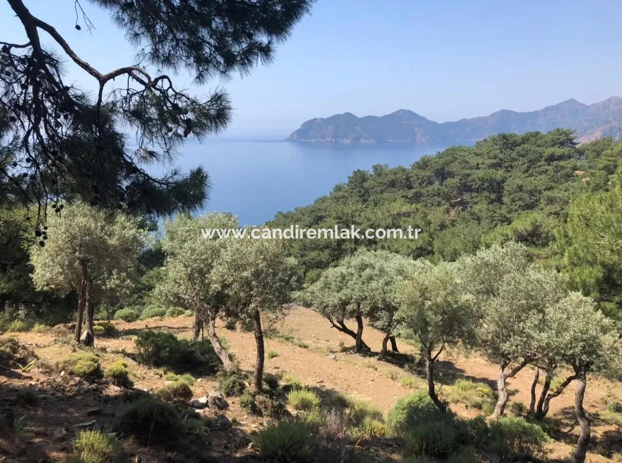 7034M2 Field For Sale With Sea View In Çandir
