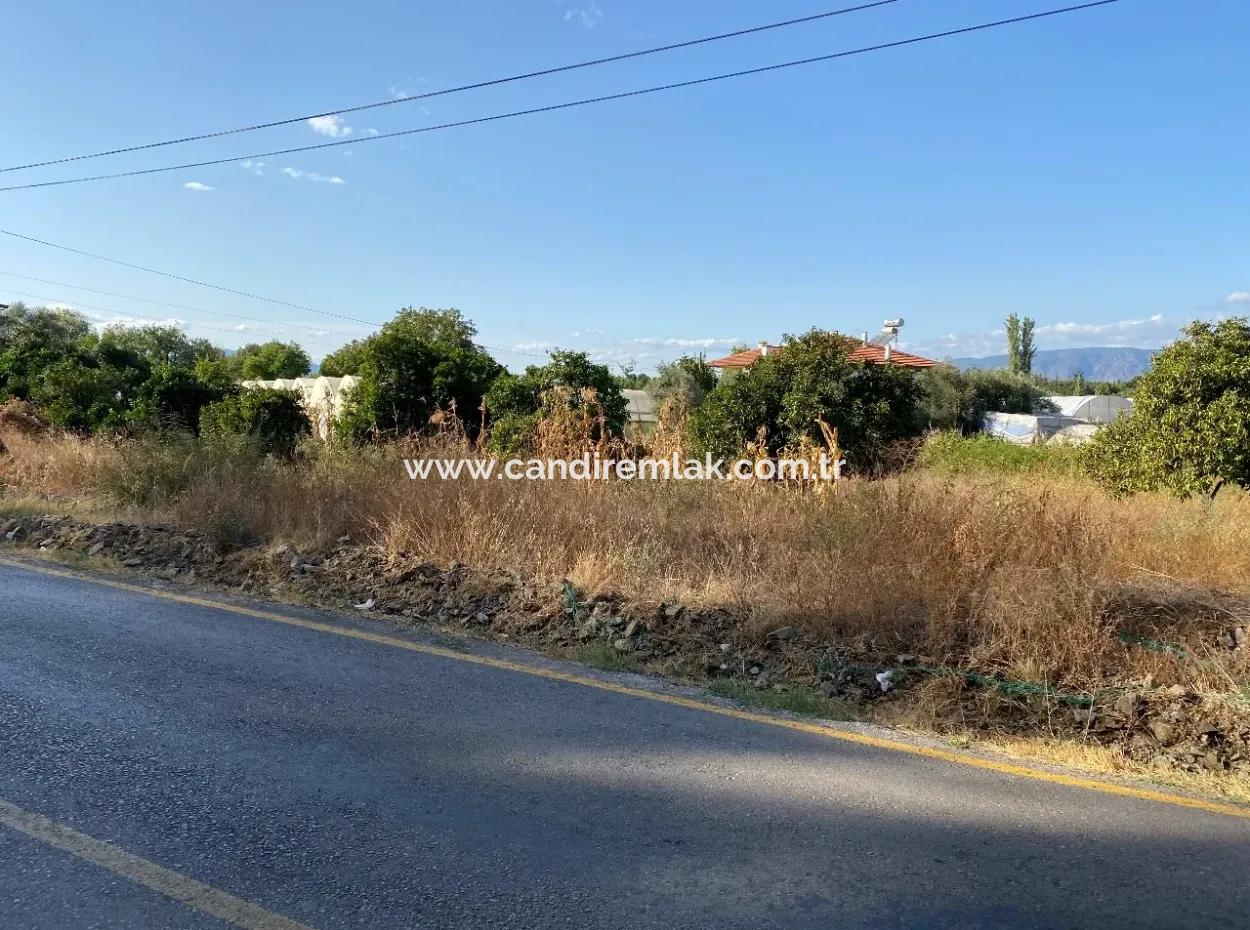 Land For Sale On 2506M2 Mainroa In Kavakarası