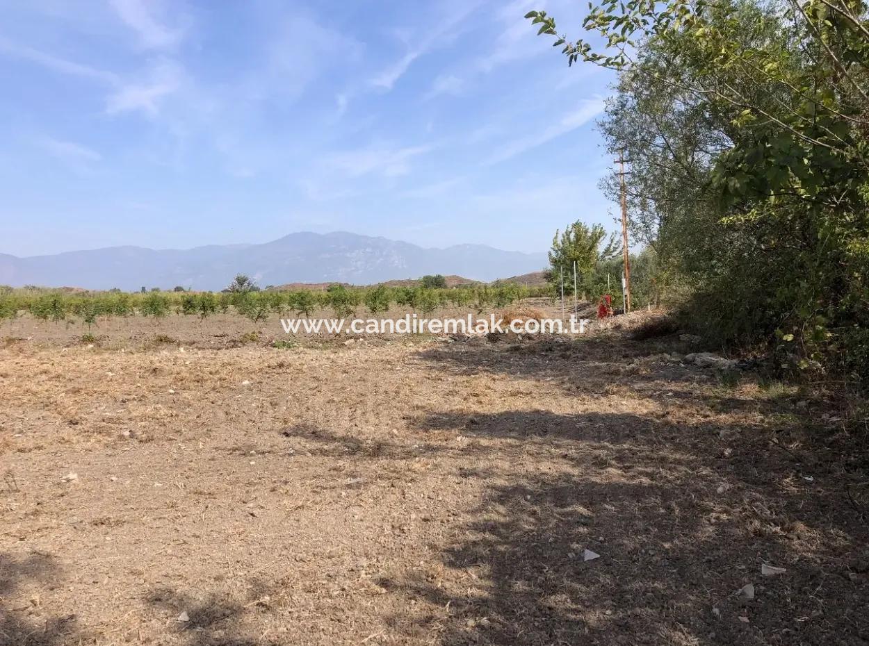 Land For Sale In Esköy 8500M2 Field Land For Sale