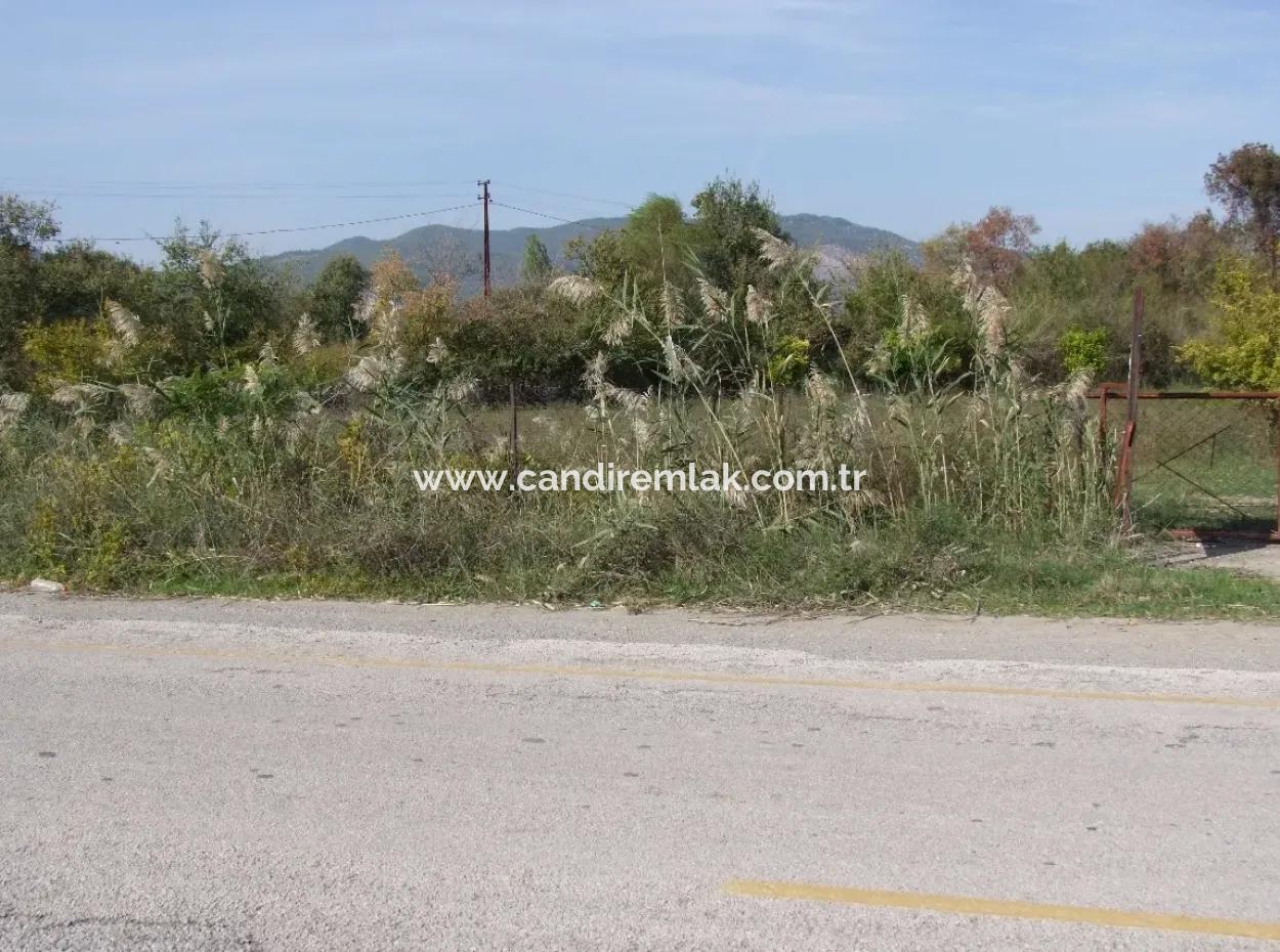 Land For Sale In Guzelyurt Land For Sale Zero 5515M2 Land For Sale On The Main Road