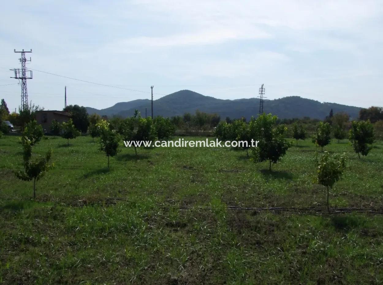 Güzelyurt Land For Sale Village Built 6670M2 Land For Sale