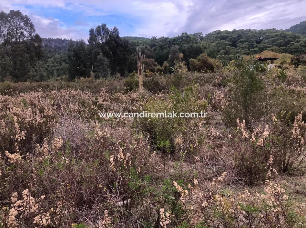 Land  For Sale Zero To Çamlı Canal 28768M2 Land For Sale With Sea View In Camlida