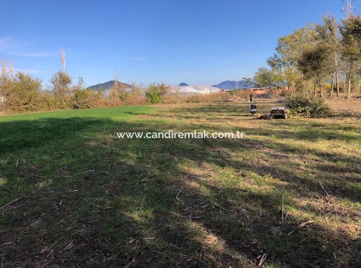 Land For Sale In Dalyan 2540M2